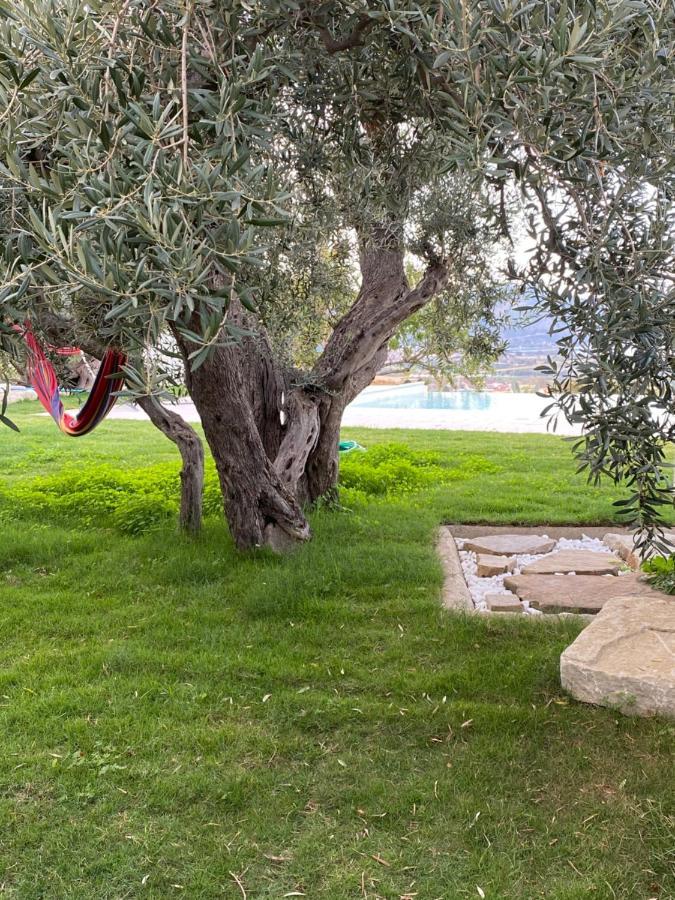 Casa Delle Sirene Nto Principe Ξενοδοχείο Falcone Εξωτερικό φωτογραφία